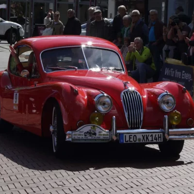 EOS 6D_2025_04_19_5976