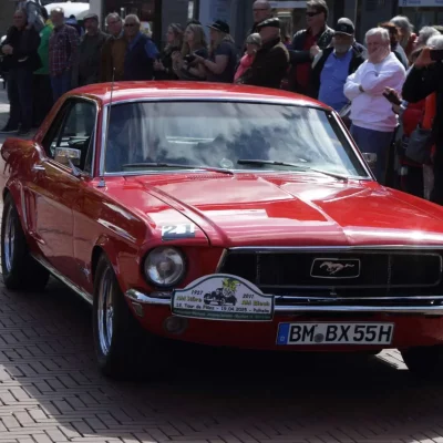 EOS 6D_2025_04_19_6000