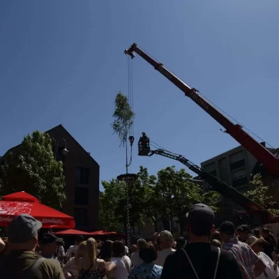 EOS 6D_2025_05_01_6337