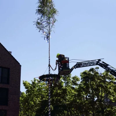 EOS 6D_2025_05_01_6338